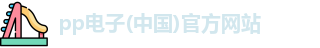 pp电子